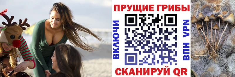 Галлюциногенные грибы GOLDEN TEACHER  Игарка 